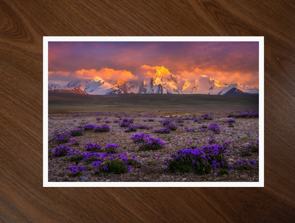 Purple Plains print