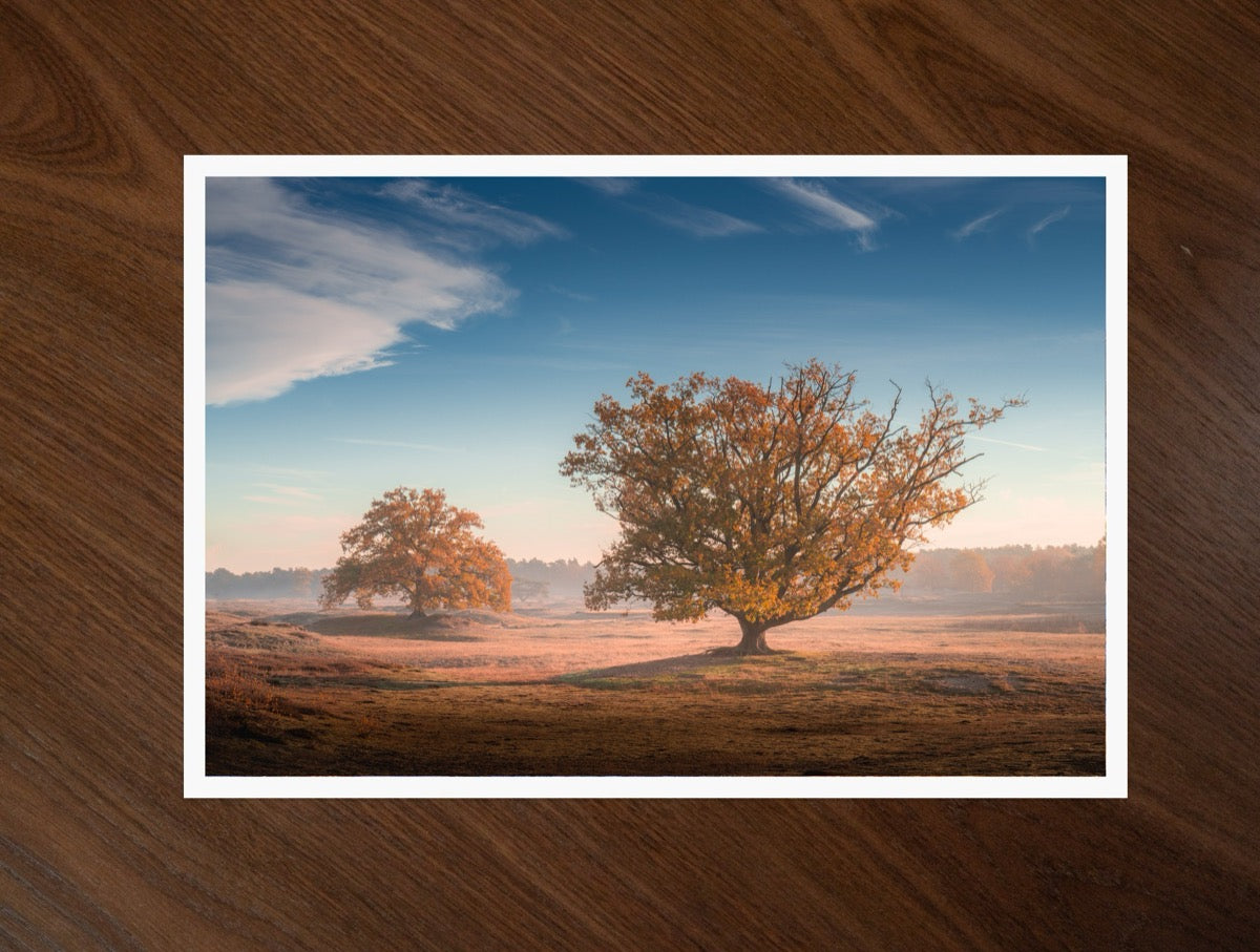 Reaching up print