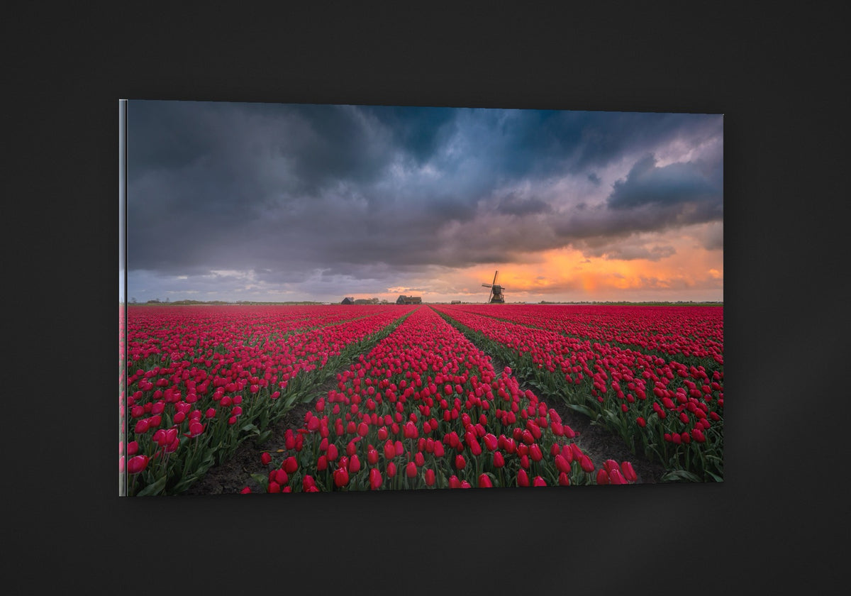 Red Fields, Dark Sky acryl