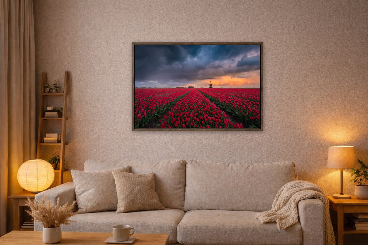 Red Fields, Dark Sky lijst kamer