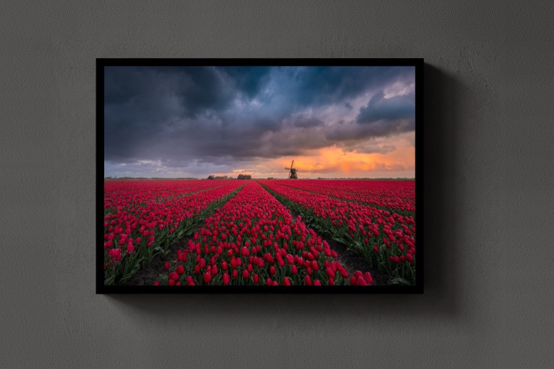 Red Fields, Dark Sky lijst