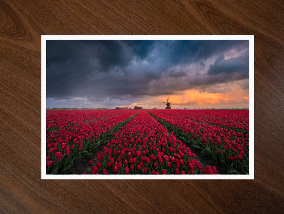 Red Fields, Dark Sky print