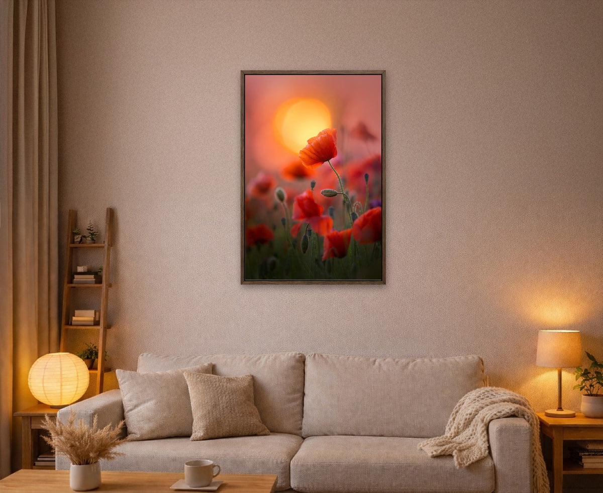 Red Romance lijst kamer