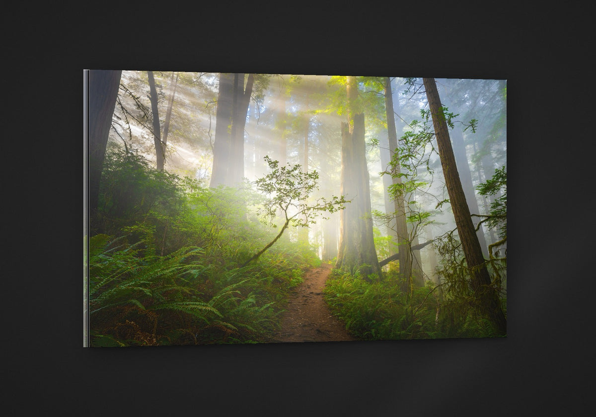 Redwoods acryl