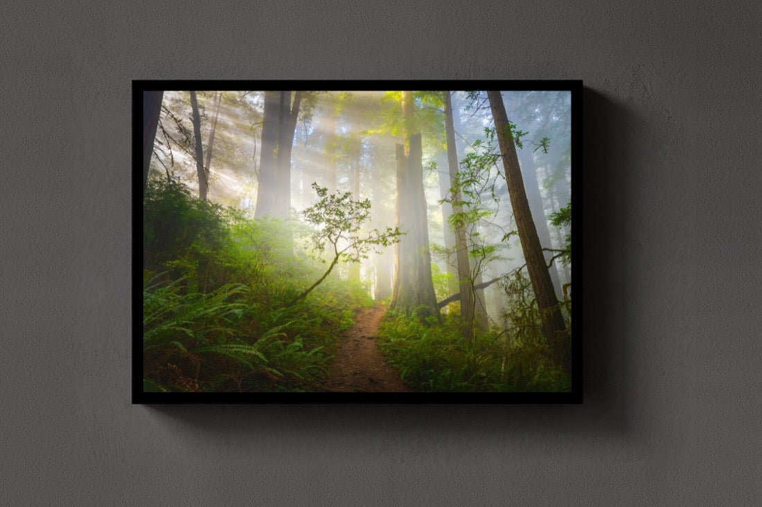 Redwoods lijst