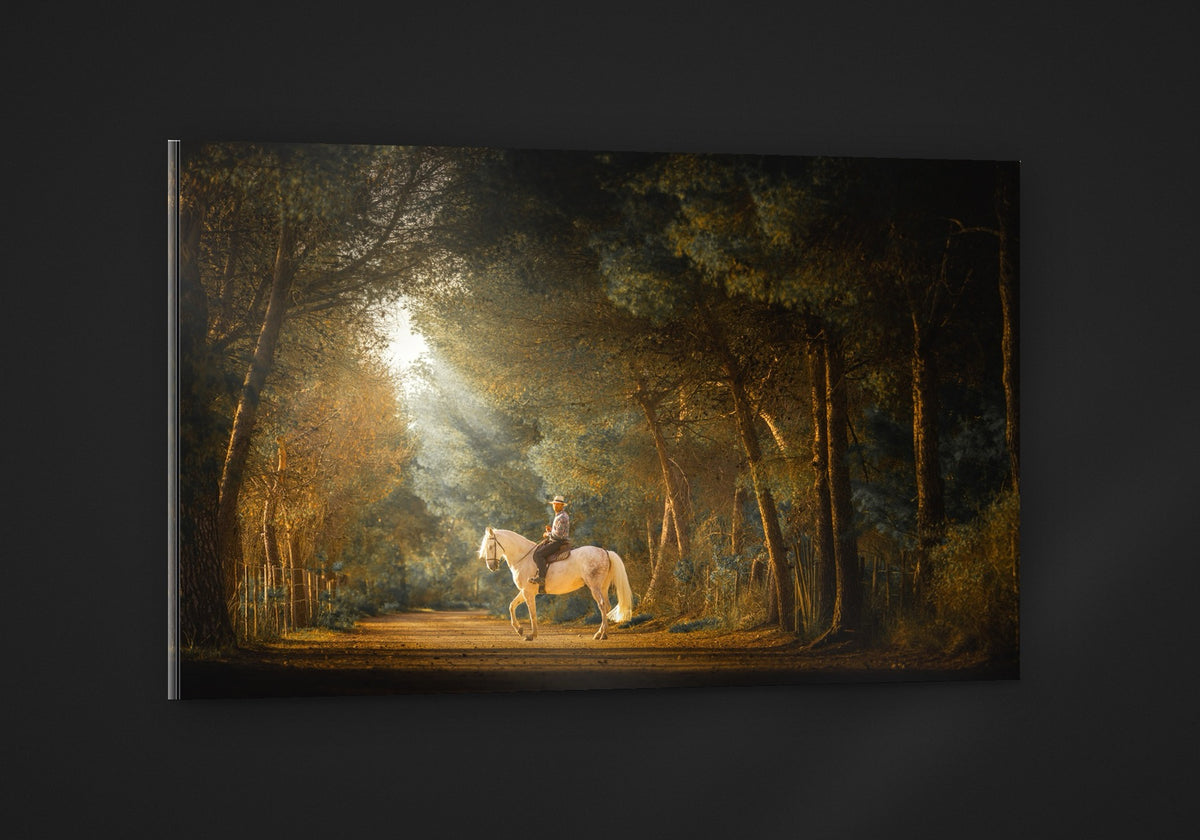 Rider in the Light acryl