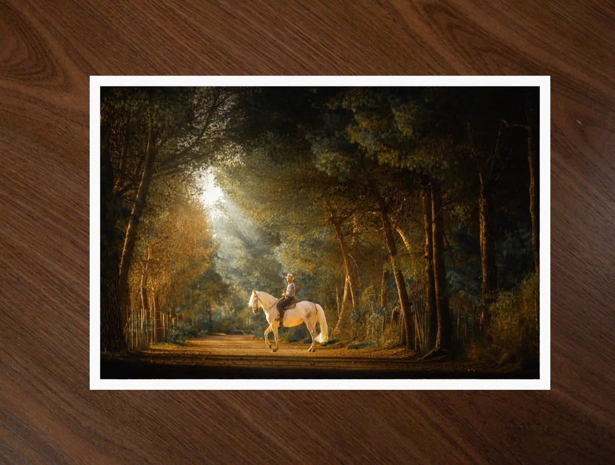 Rider in the Light print