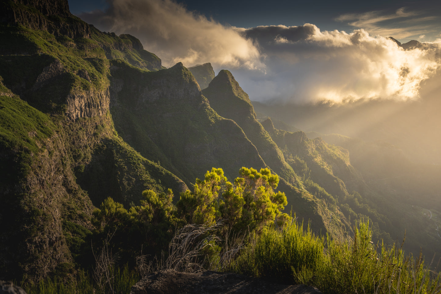 Ridge of Light
