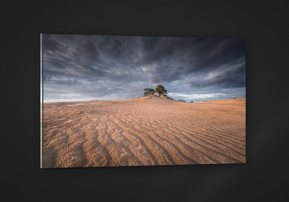 Sand and Tree acryl