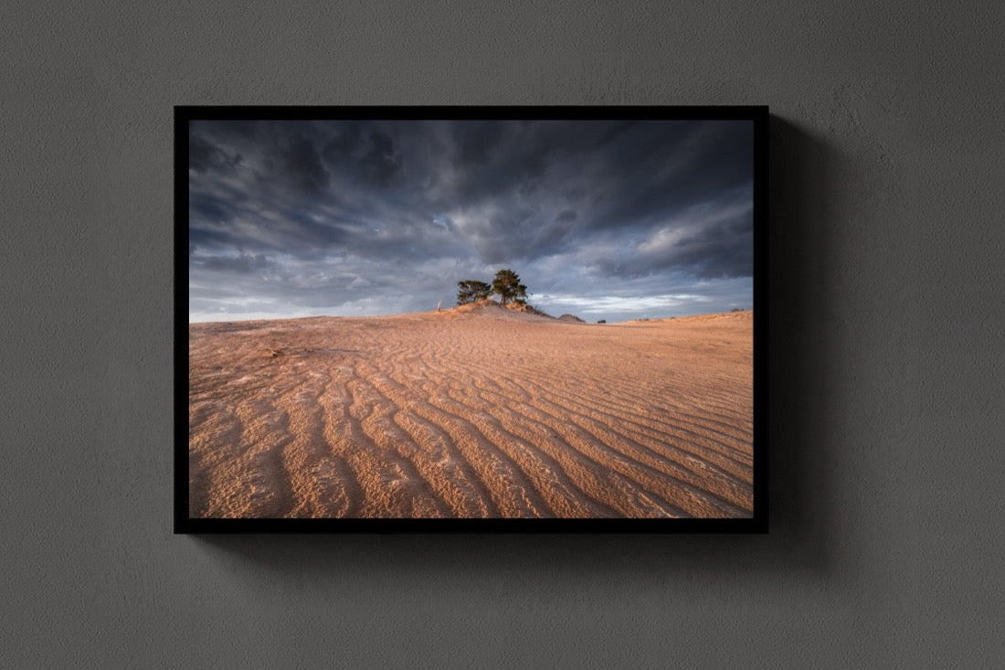 Sand and Tree lijst