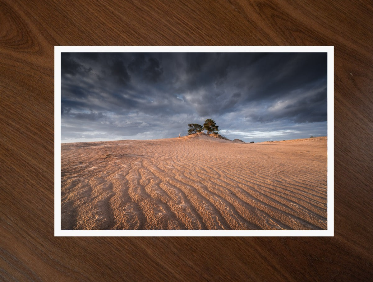 Sand and Tree print