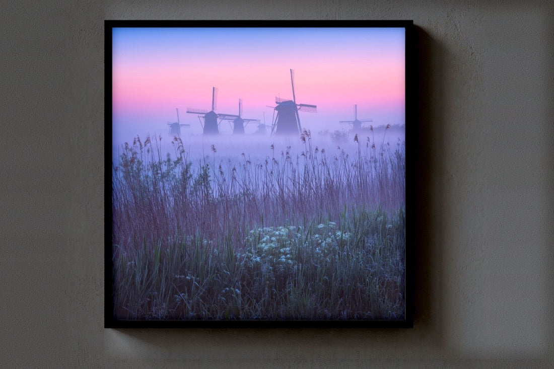 Silent Giants print