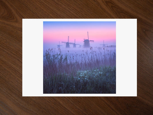 Silent Giants print