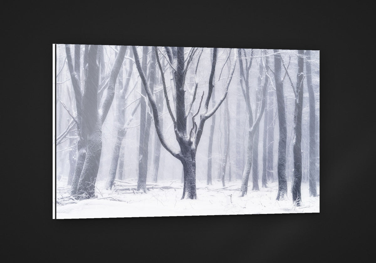 Silent Snow acryl