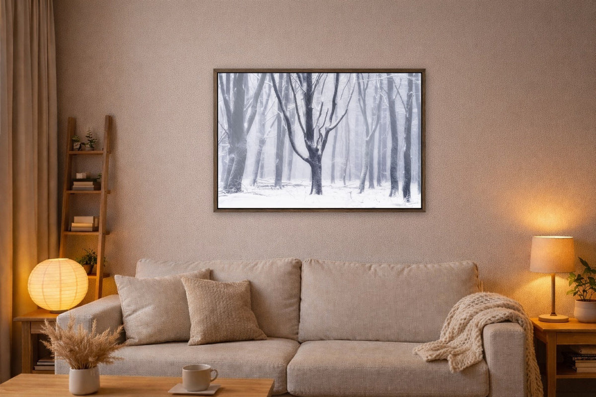 Silent Snow lijst kamer