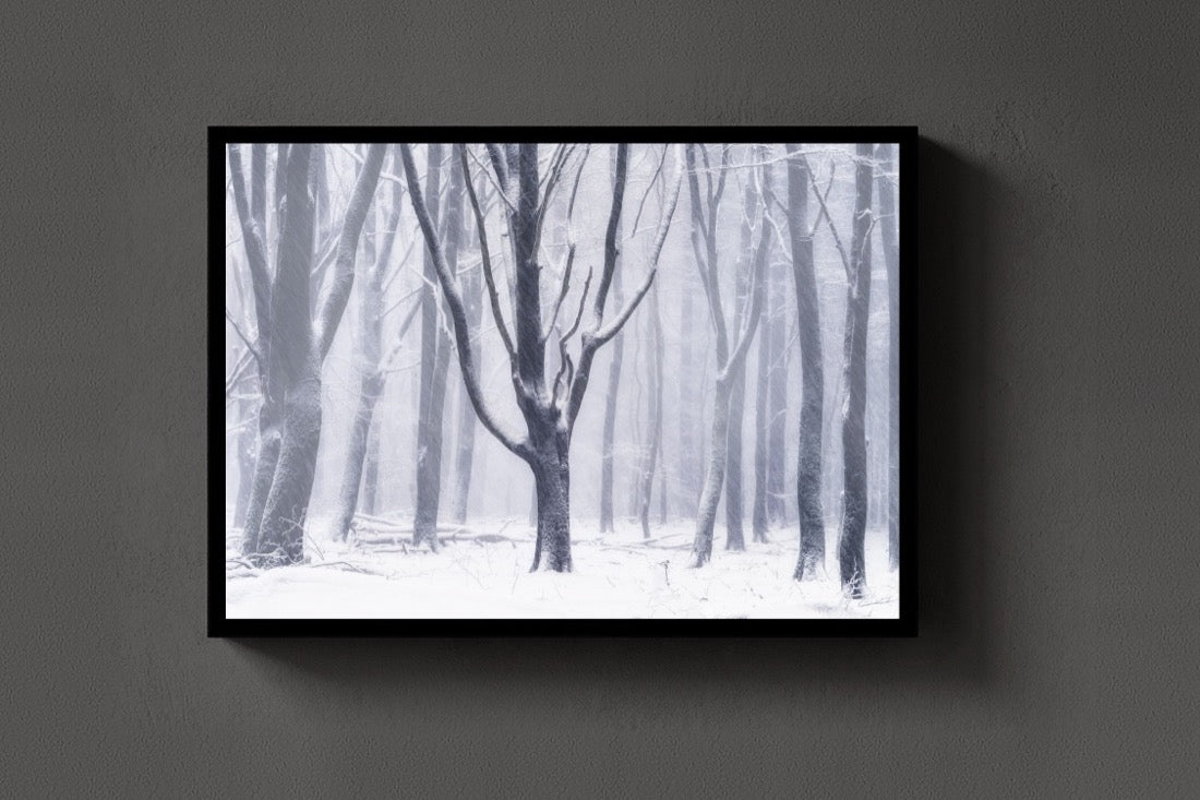 Silent Snow lijst