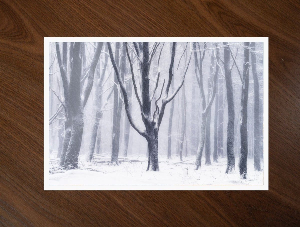 Silent Snow print