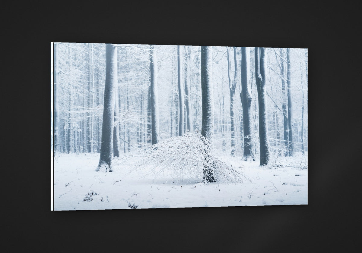 Snow Forest acryl