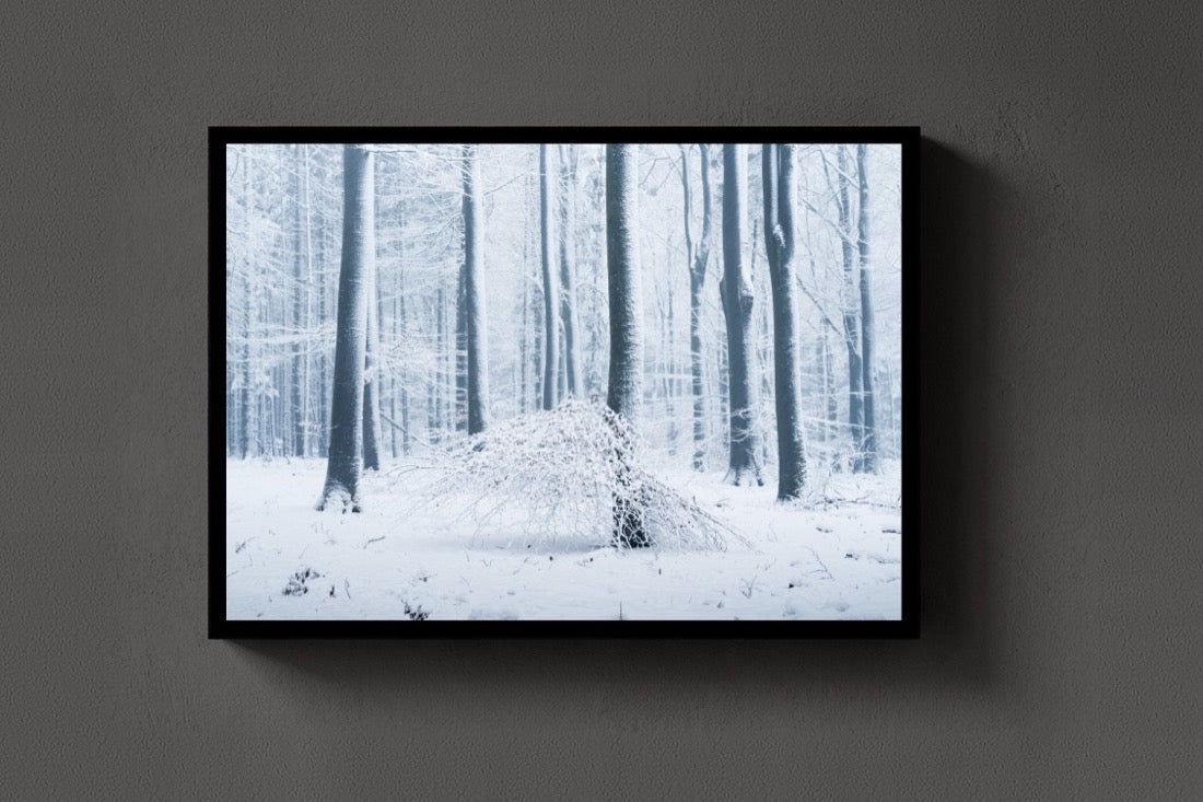 Snow Forest lijst