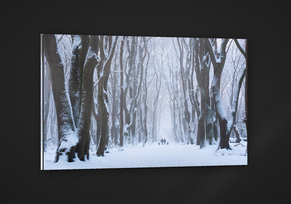 Snow Lane acryl