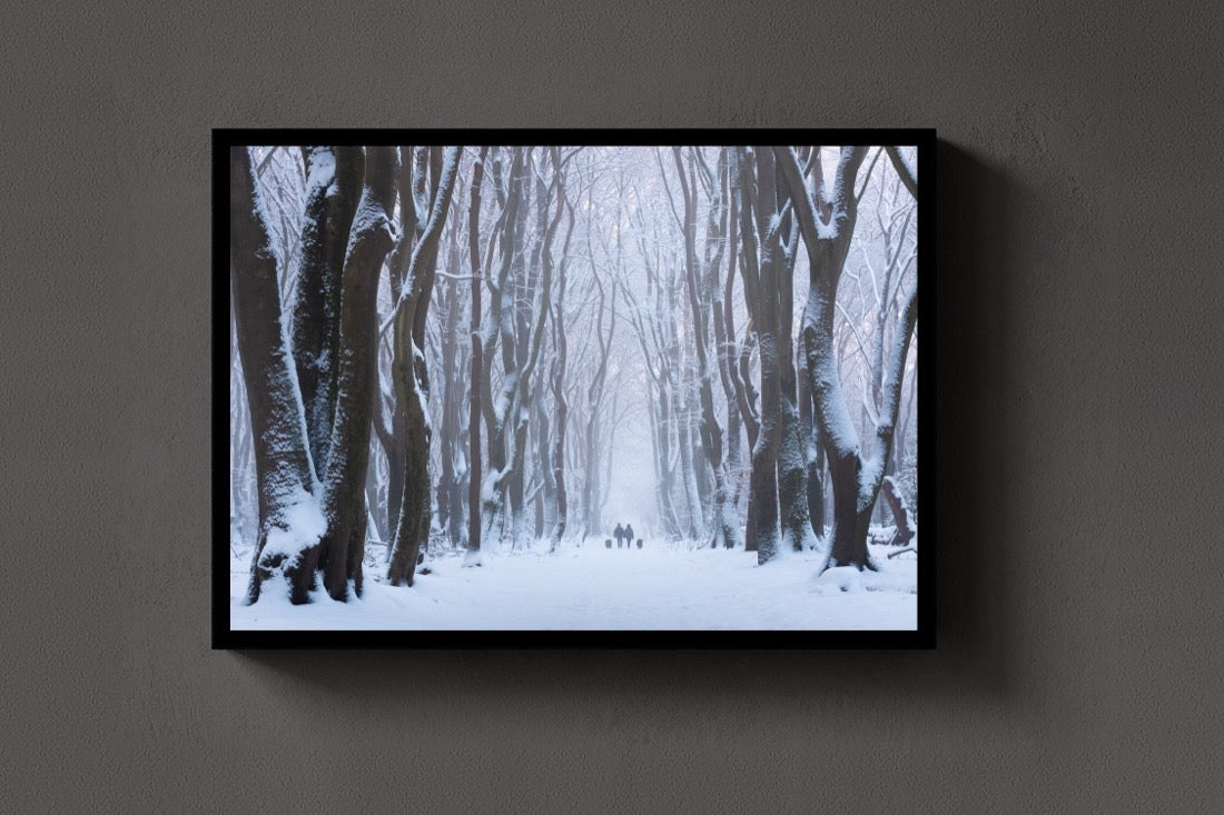Snow Lane lijst