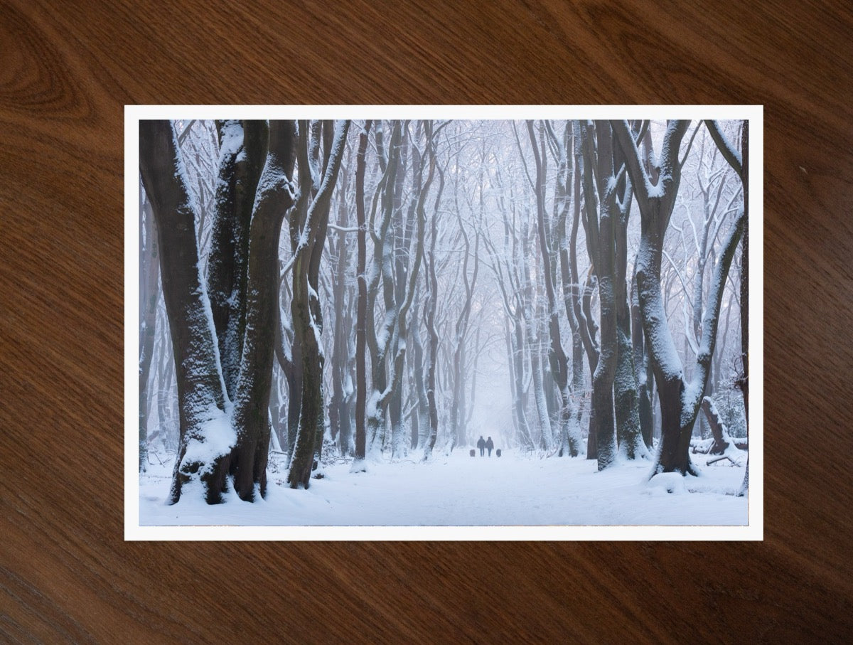 Snow Lane print