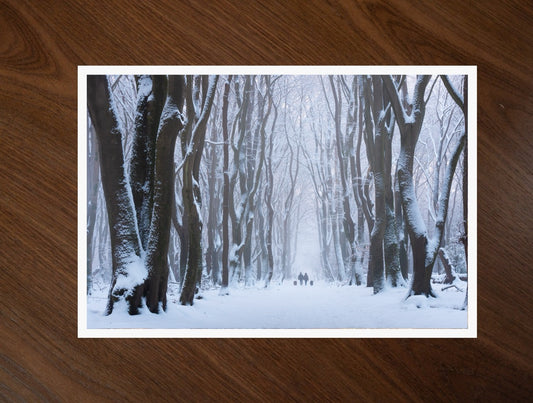 Snow Lane print