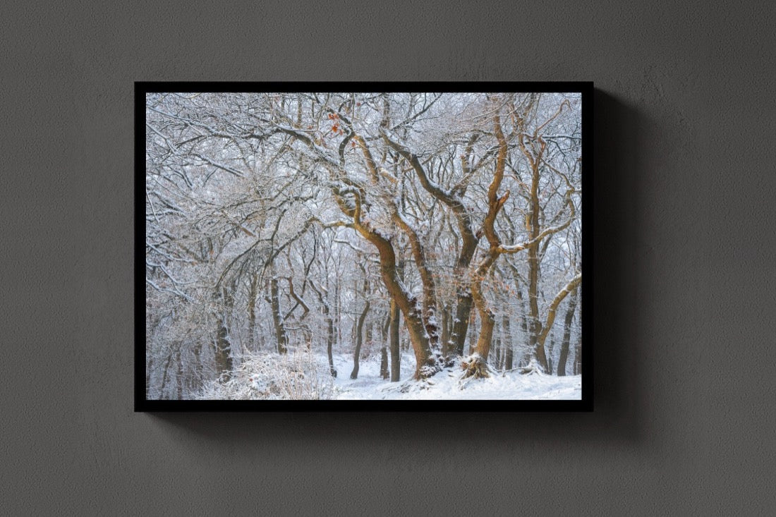 Snow Oaks lijst