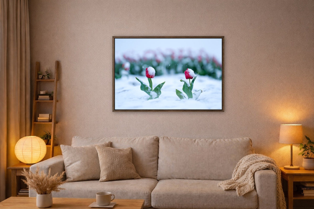 Snowkissed Tulips lijst kamer