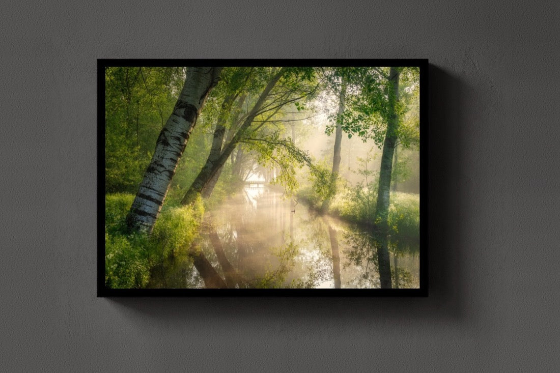 Spring Rays lijst