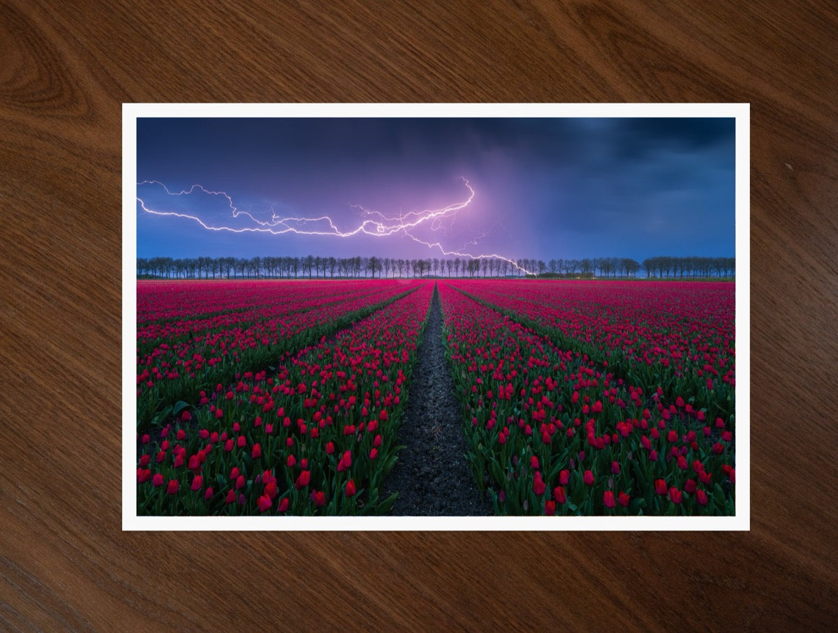 Strike! print