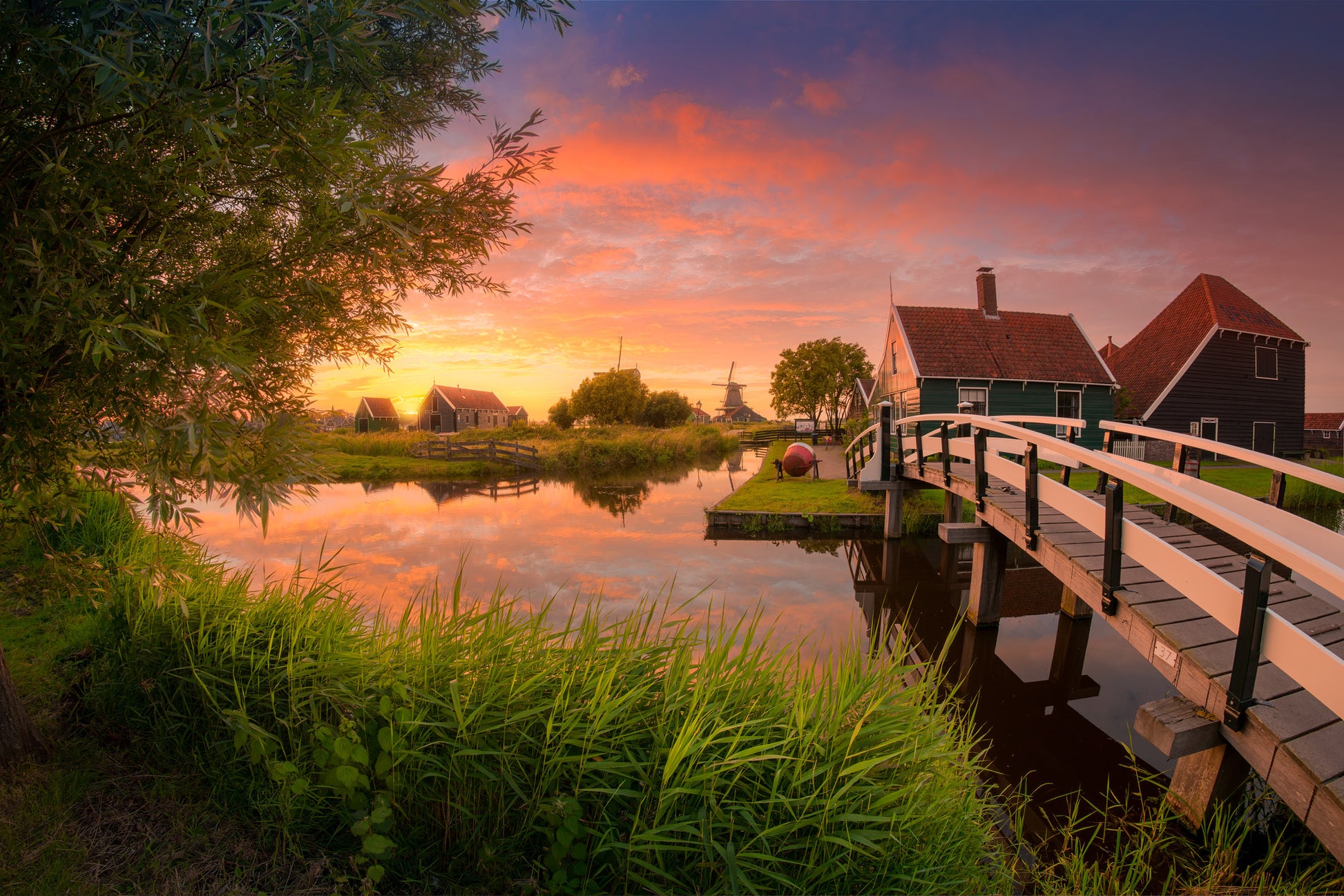 Summer Evening