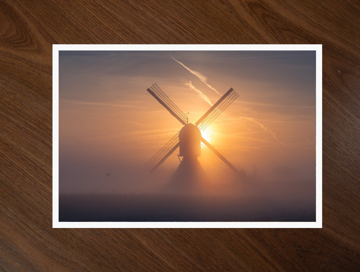 Sun Through the Sails print