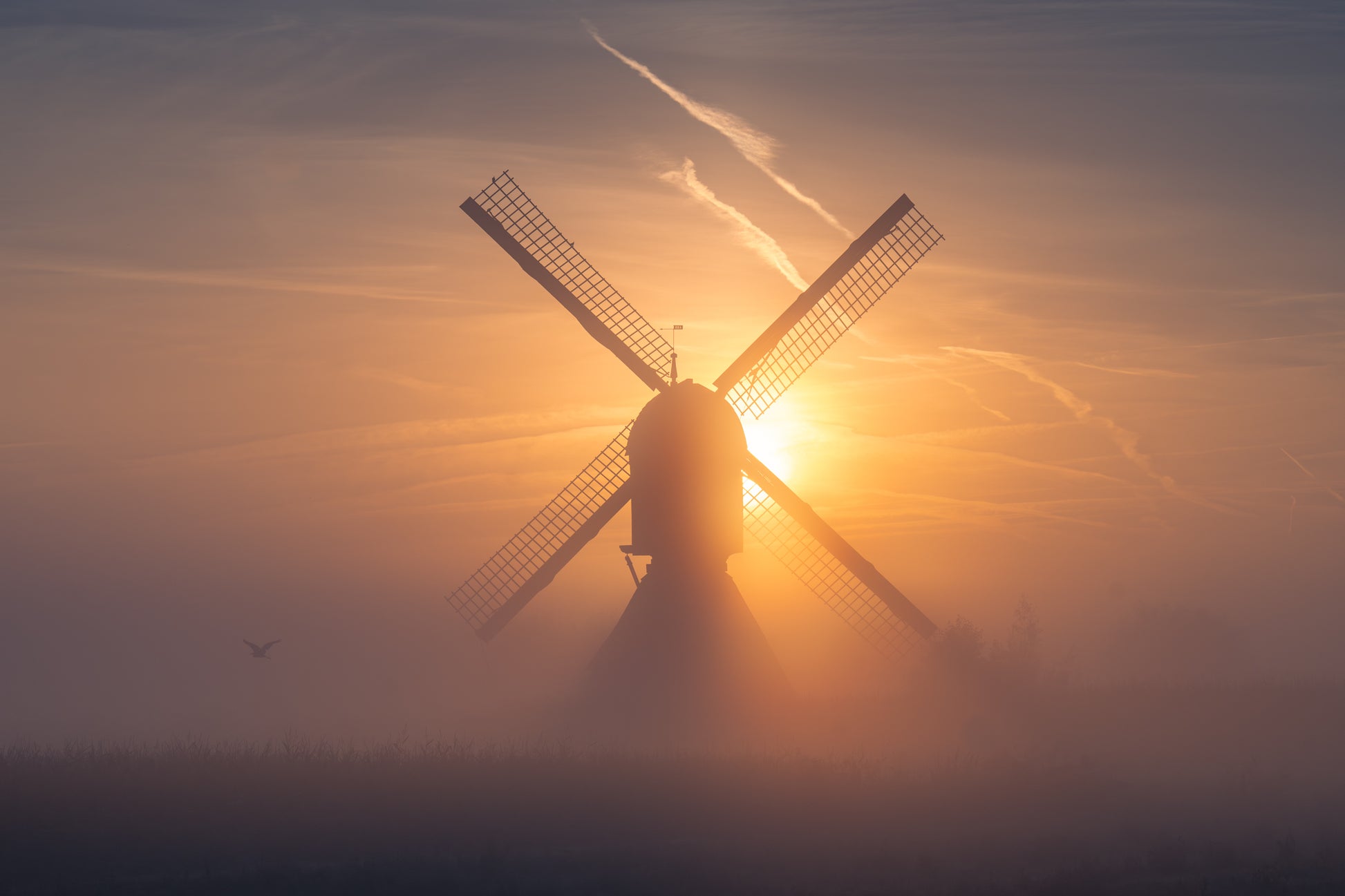 Sun Through the Sails