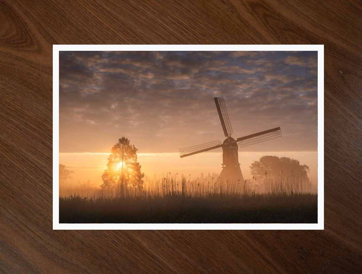 Sunrise Sails print