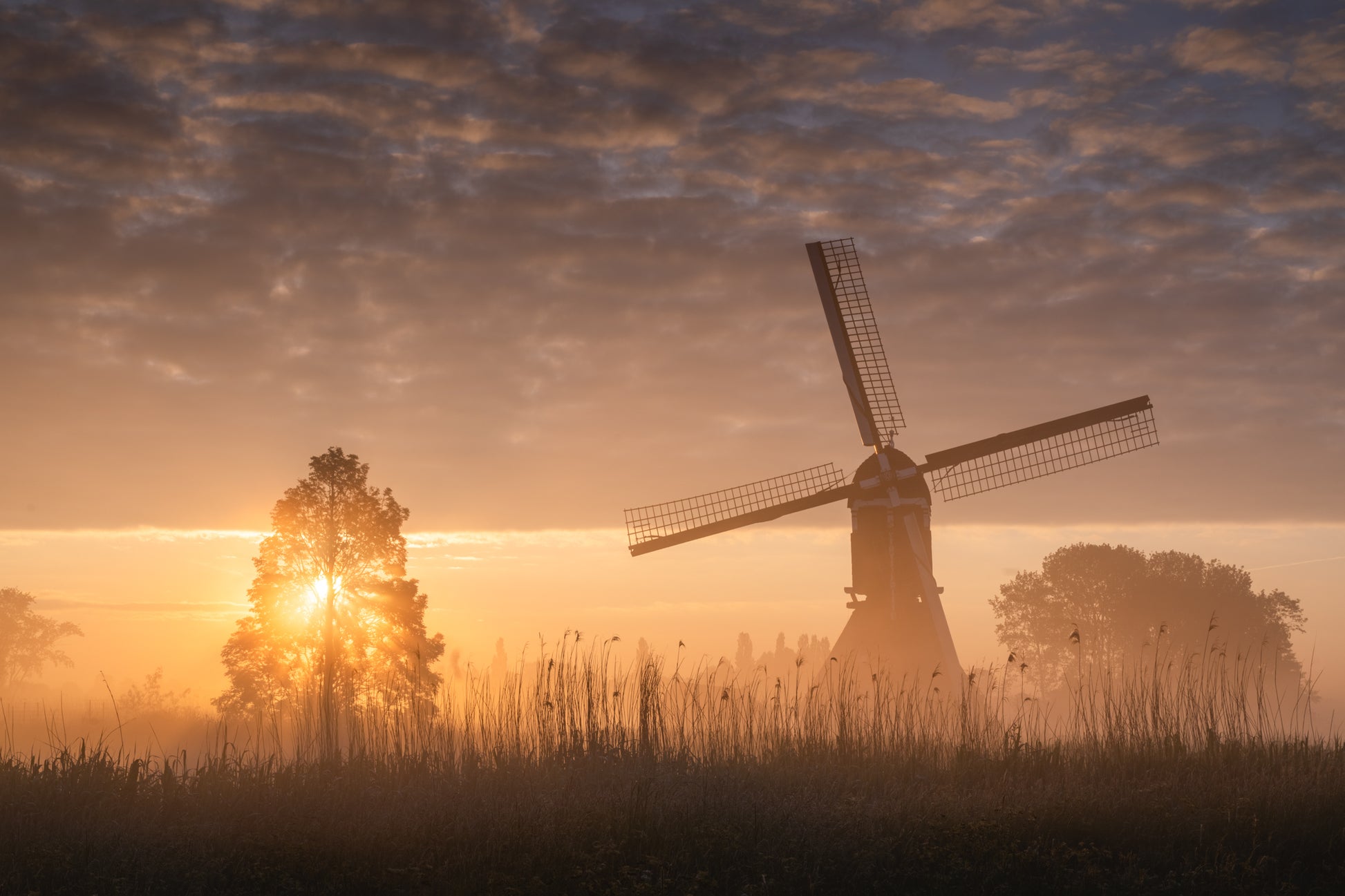 Sunrise Sails