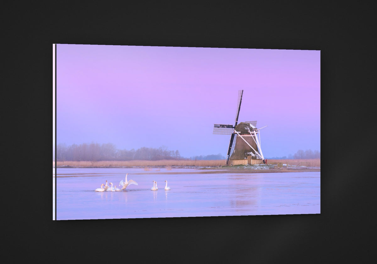 Swans at the Mill acryl