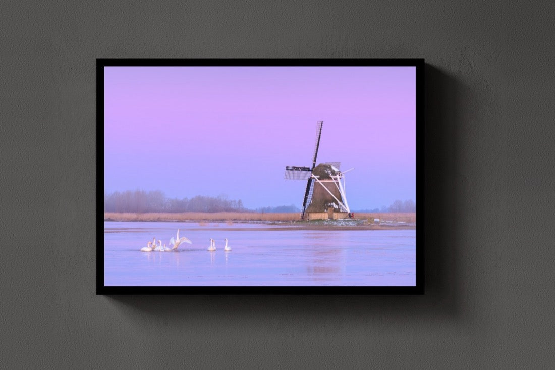 Swans at the Mill lijst