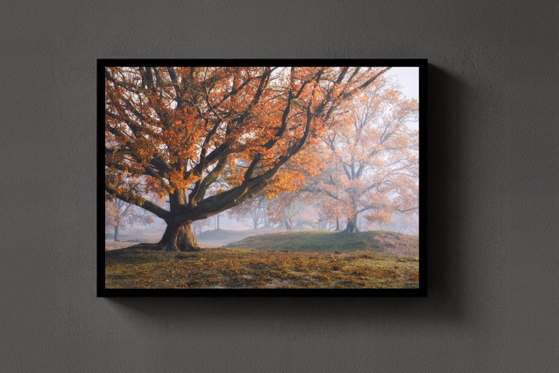 The Autumn Oak lijst