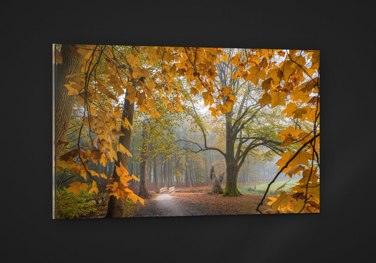 The Autumn Walk acryl