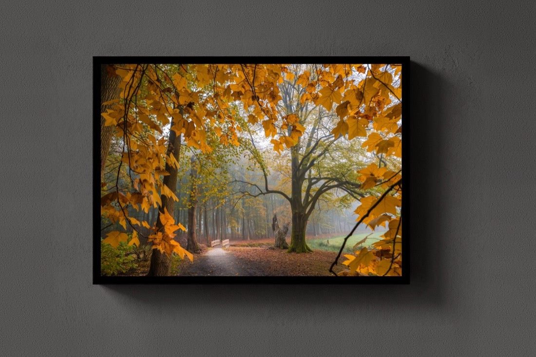 The Autumn Walk lijst