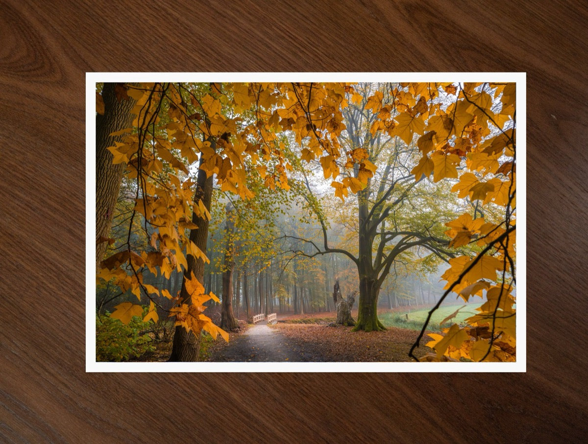 The Autumn Walk print