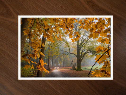 The Autumn Walk print