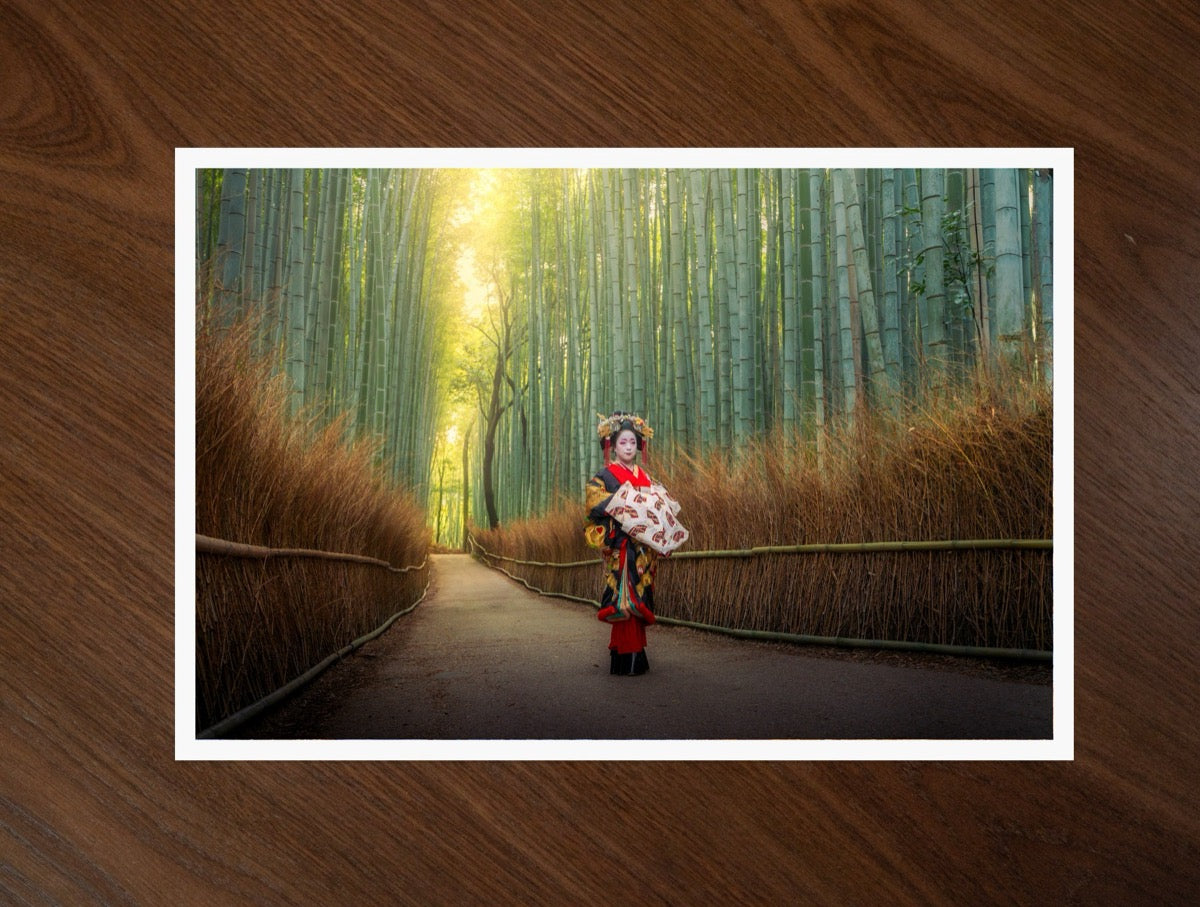 The Bamboo Path print