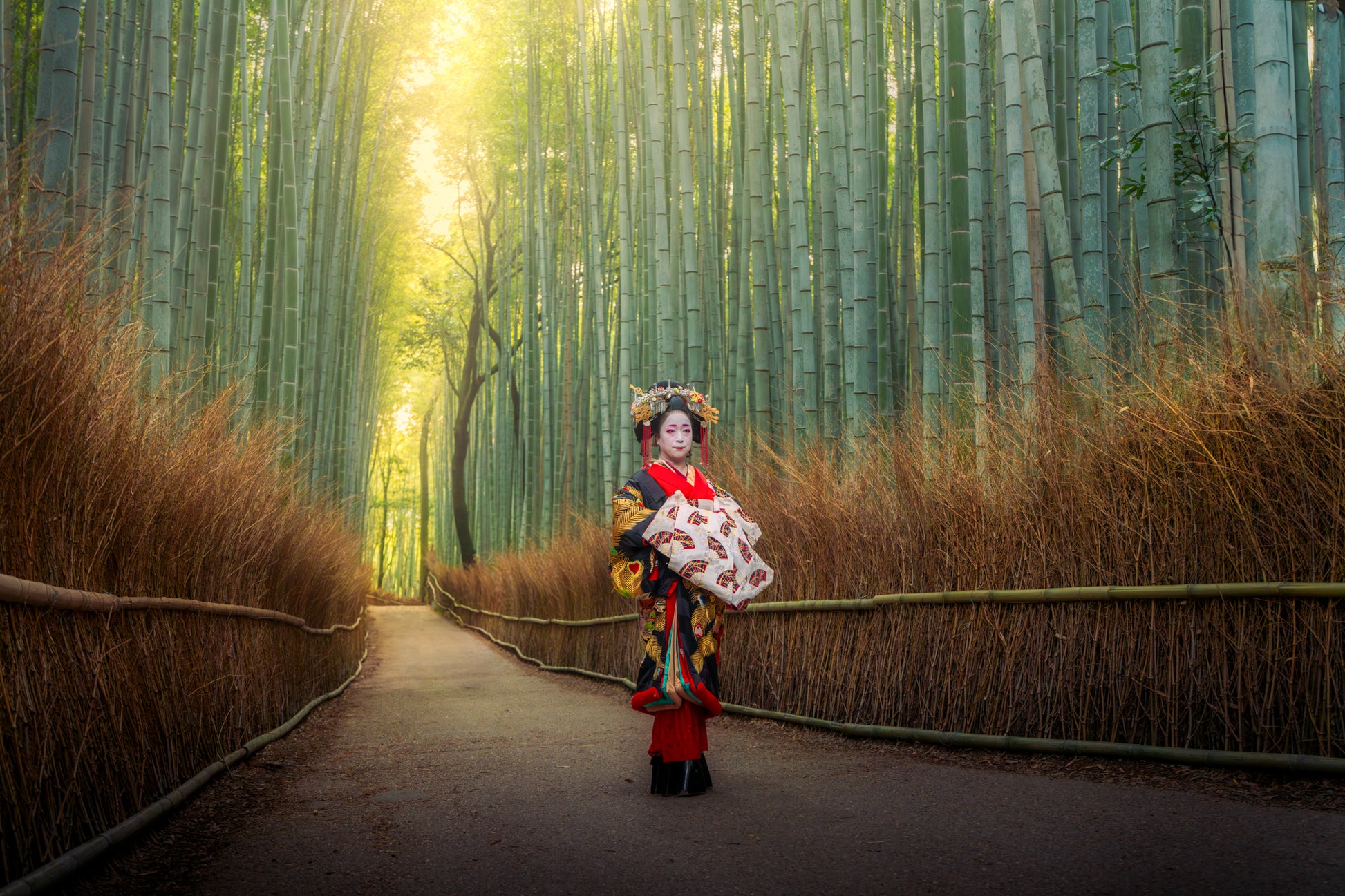 The Bamboo Path