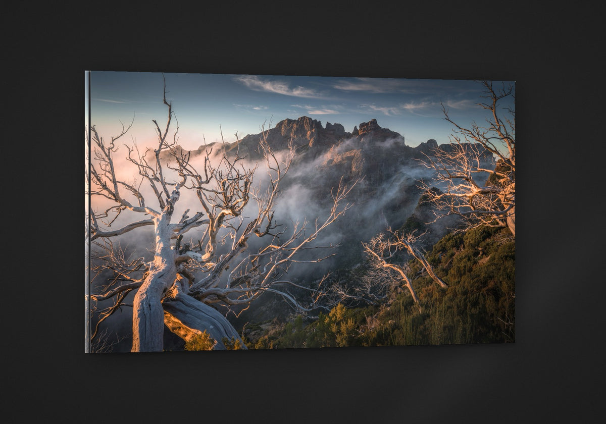 The Burnt Ridge acryl