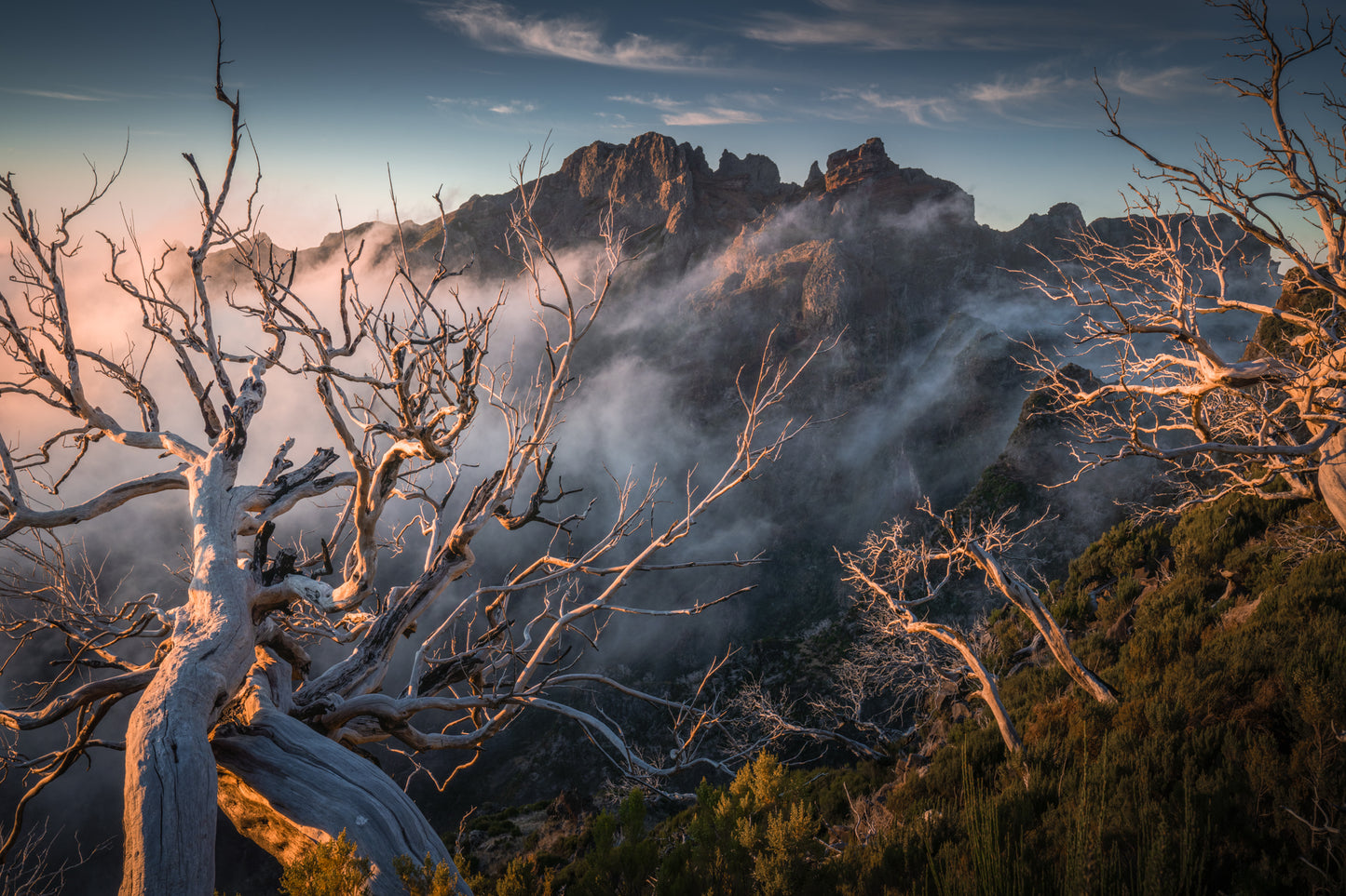 The Burnt Ridge