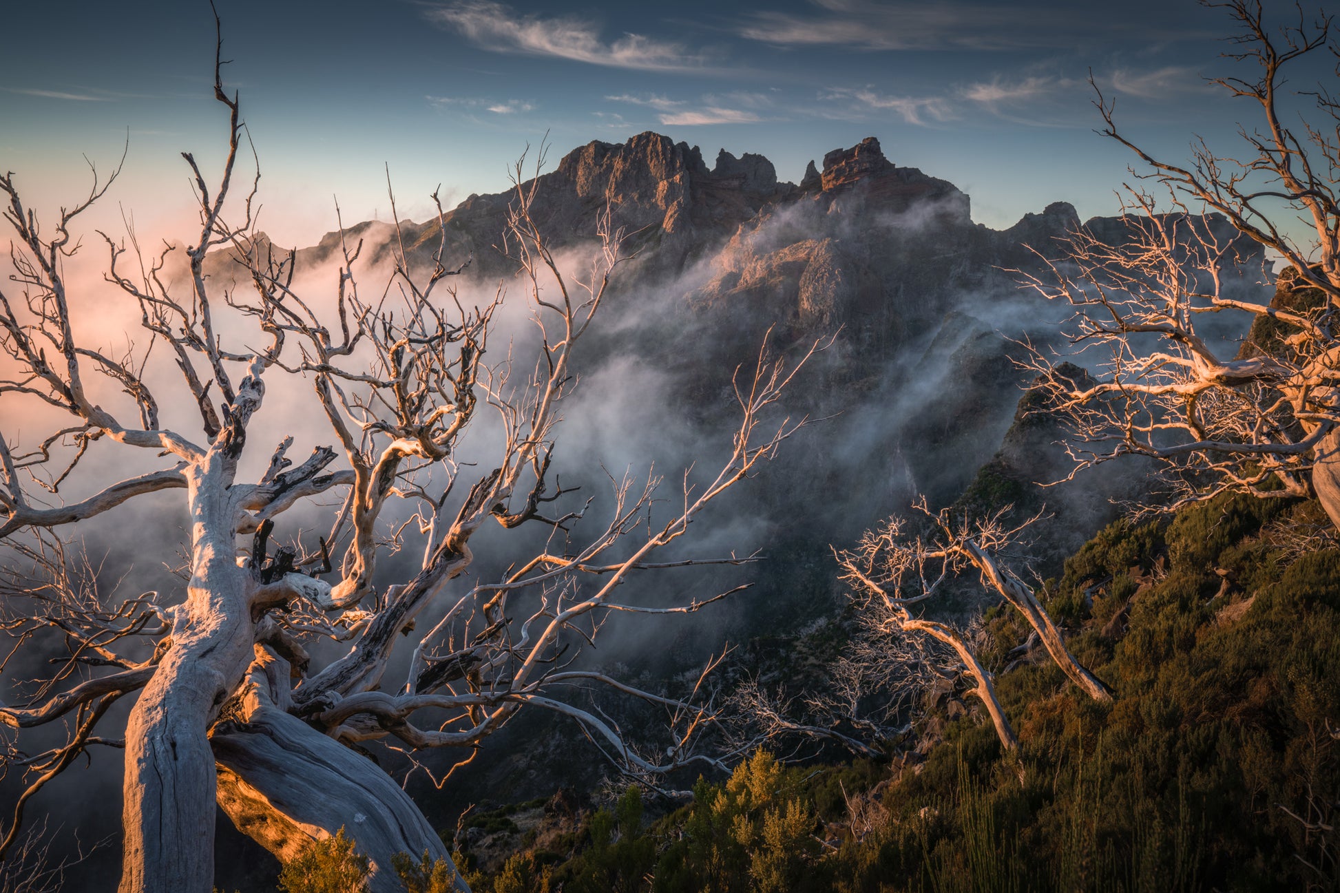 The Burnt Ridge