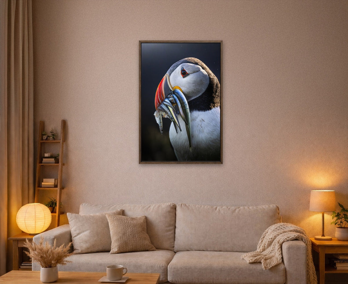 The Catch lijst kamer