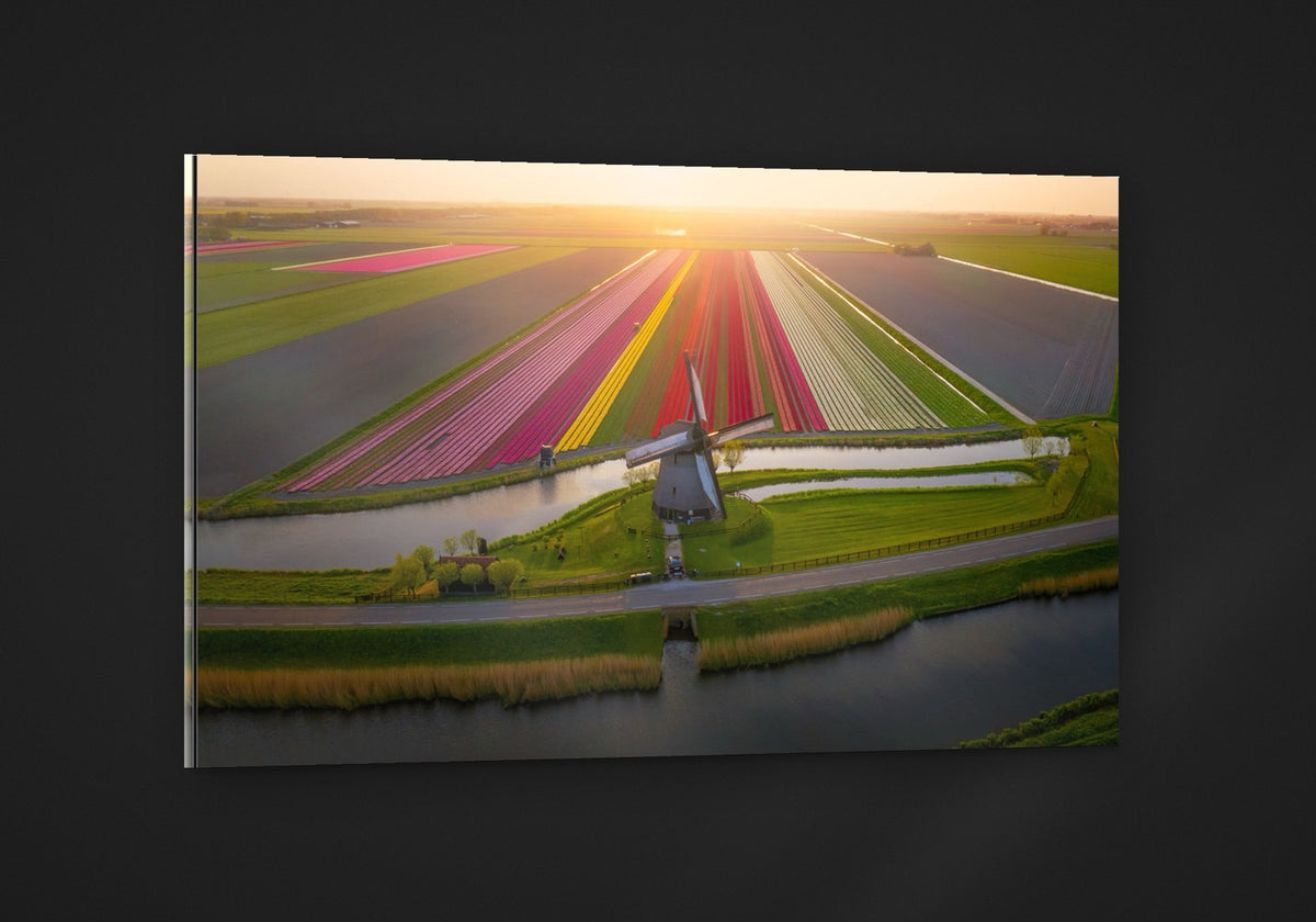 The Classic Tulip Field acryl